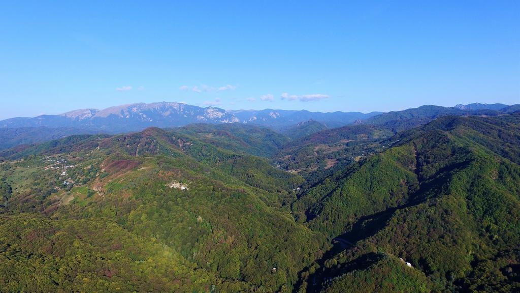 Pensiunea Eden Băile Olăneşti Eksteriør bilde